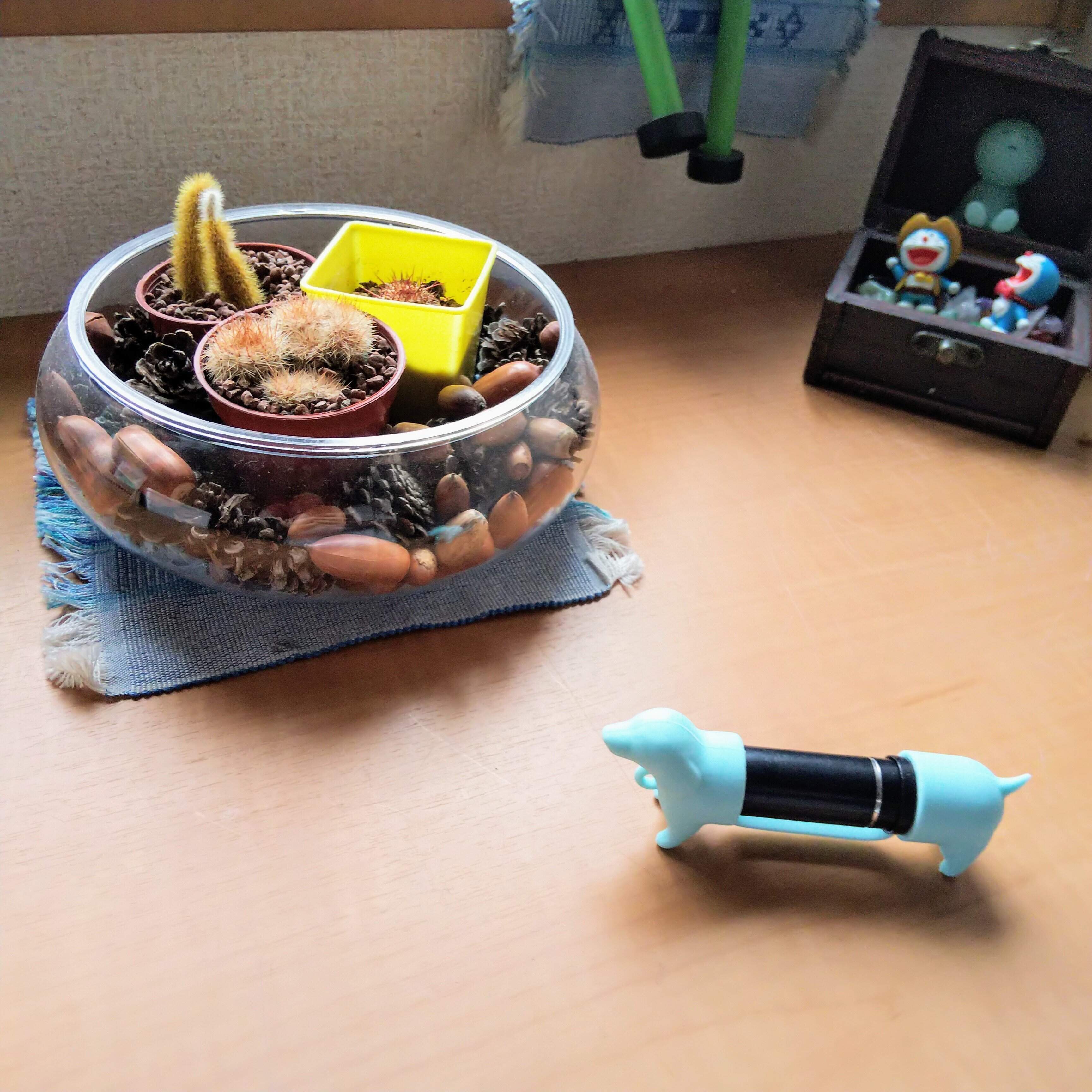 【ダイソー】絶対なくさない！プチイラなし！めちゃかわネームスタンプホルダー