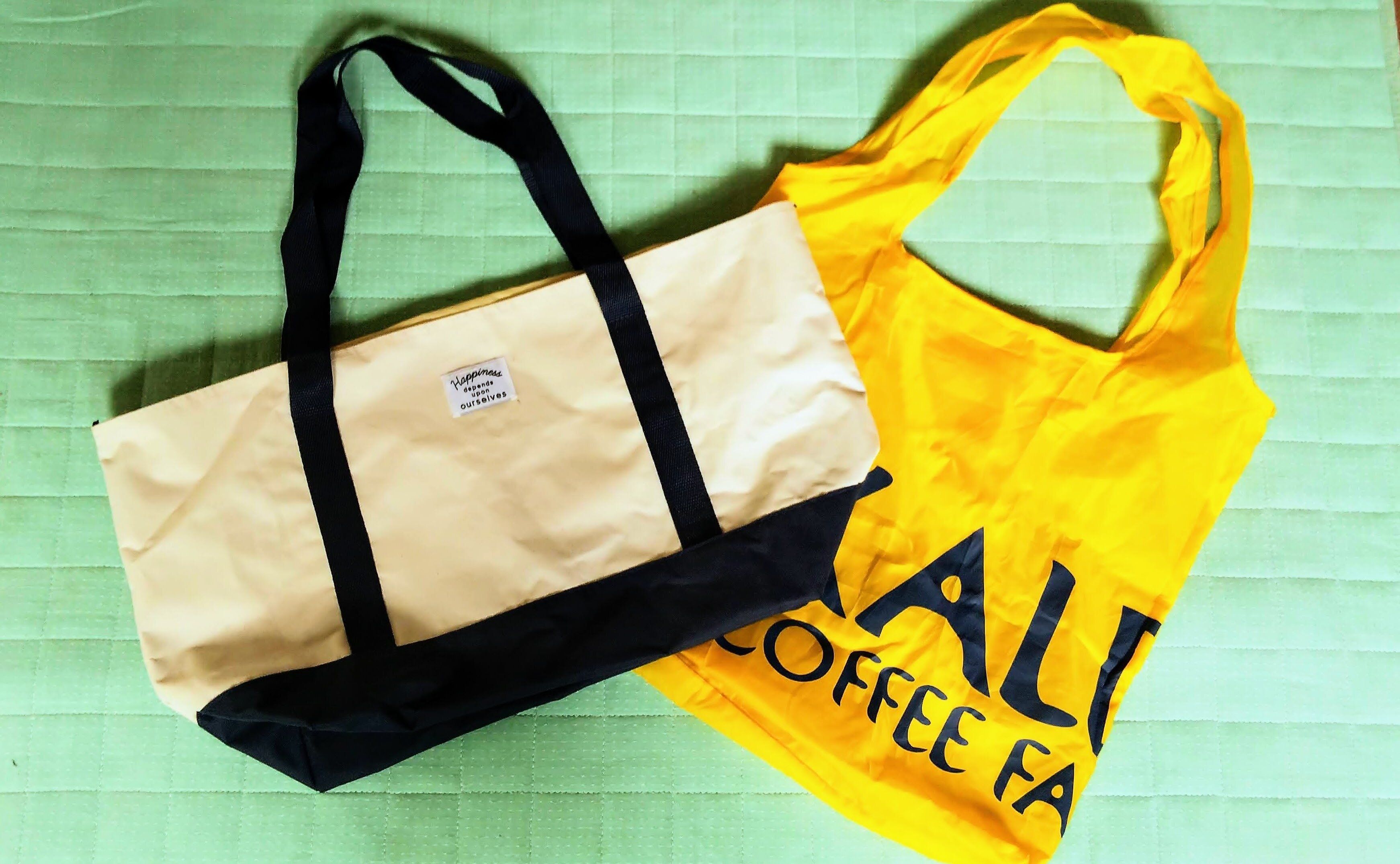 レジ袋有料化スタート！我が家の「2個使い」エコバック生活