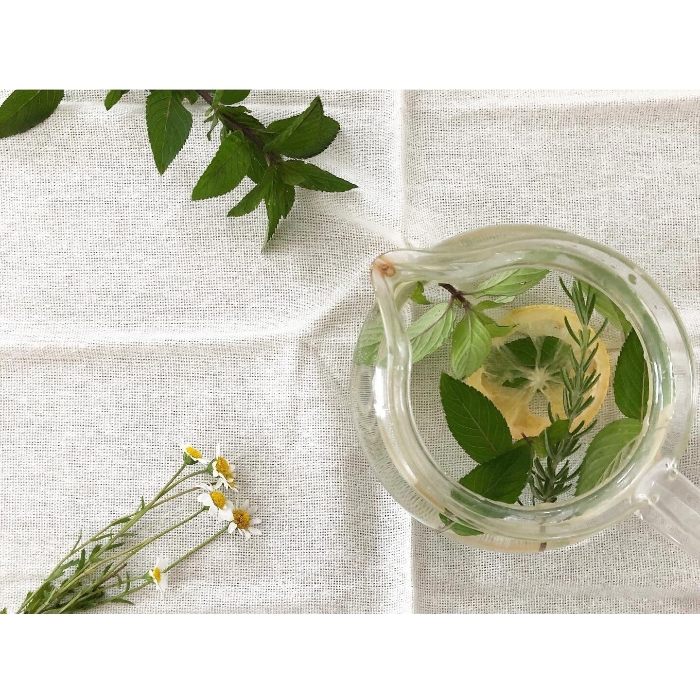 【インスタ映え】市販の○○を入れるだけ！簡単におしゃれで美味しい紅茶やハーブティーの作り方