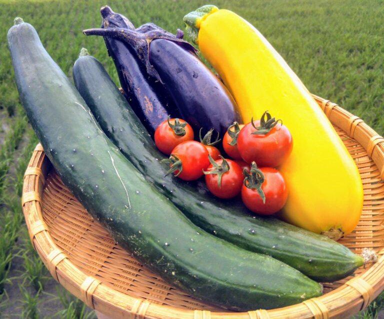 【野菜漢字クイズ】「赤茄子」と書くのは、どんな野菜？