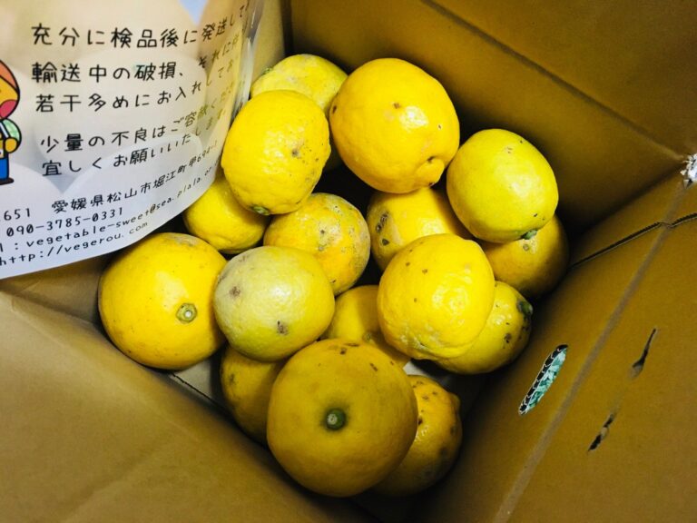 さっぱりおいしい♪国産レモンで自家製レモネードをつくろう！