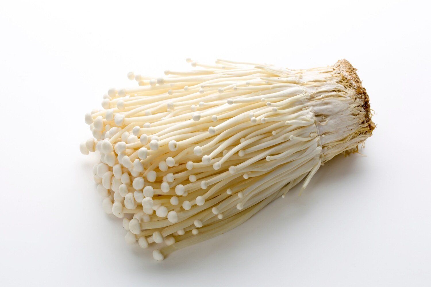 【管理栄養士監修】「えのき」の主な栄養素とカロリーまとめ！おすすめな調理方法は？