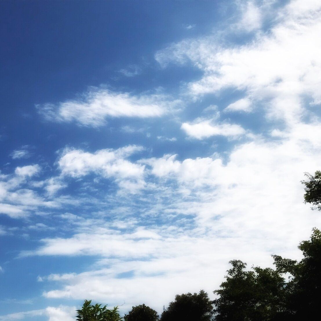 コロナ禍にも猛暑にも負けない！我が家の夏の過ごし方