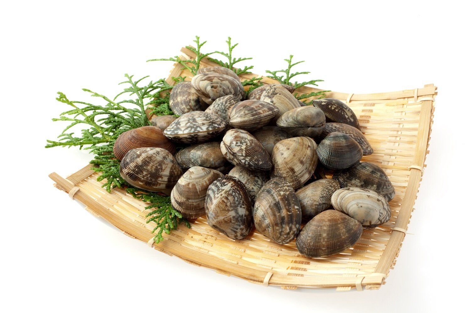 【管理栄養士監修】賞味期限（消費期限）切れの「あさり」はいつまで食べられる？