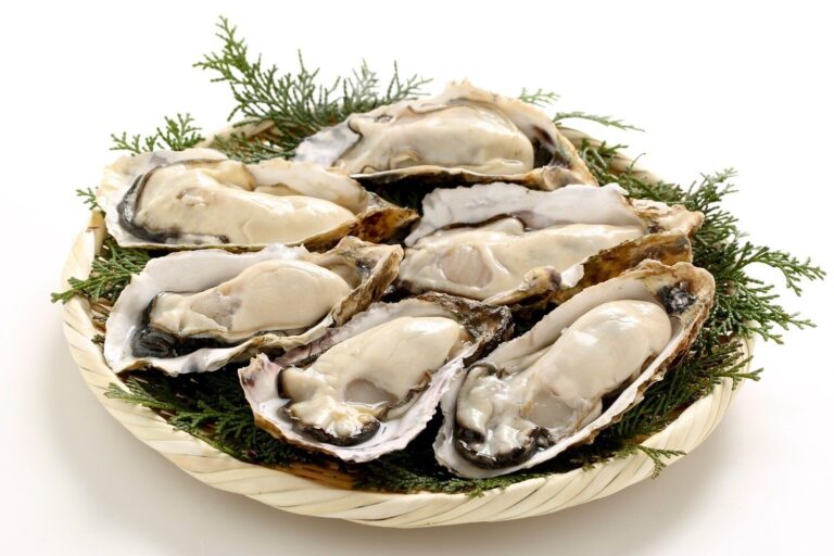 【管理栄養士監修】賞味期限（消費期限）切れの「牡蠣（かき）」は冷蔵保存でいつまで食べられる？