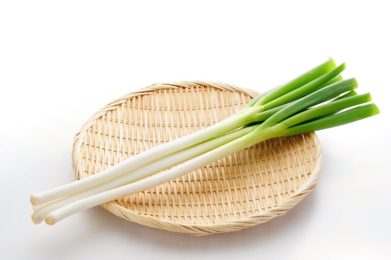 【管理栄養士監修】「ねぎ」の主な栄養素とカロリーまとめ！おすすめな調理方法は？