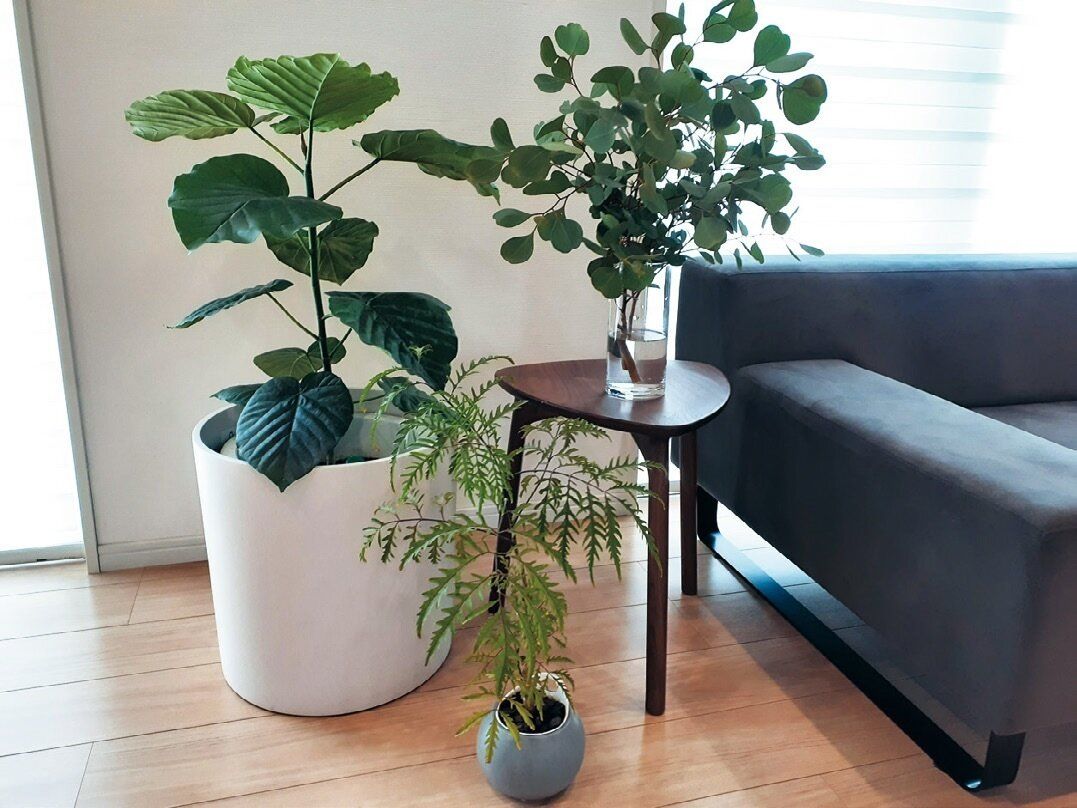 手取り20万円台でも他人の目を気にするのをやめたら貯蓄が月4万以上増えた！