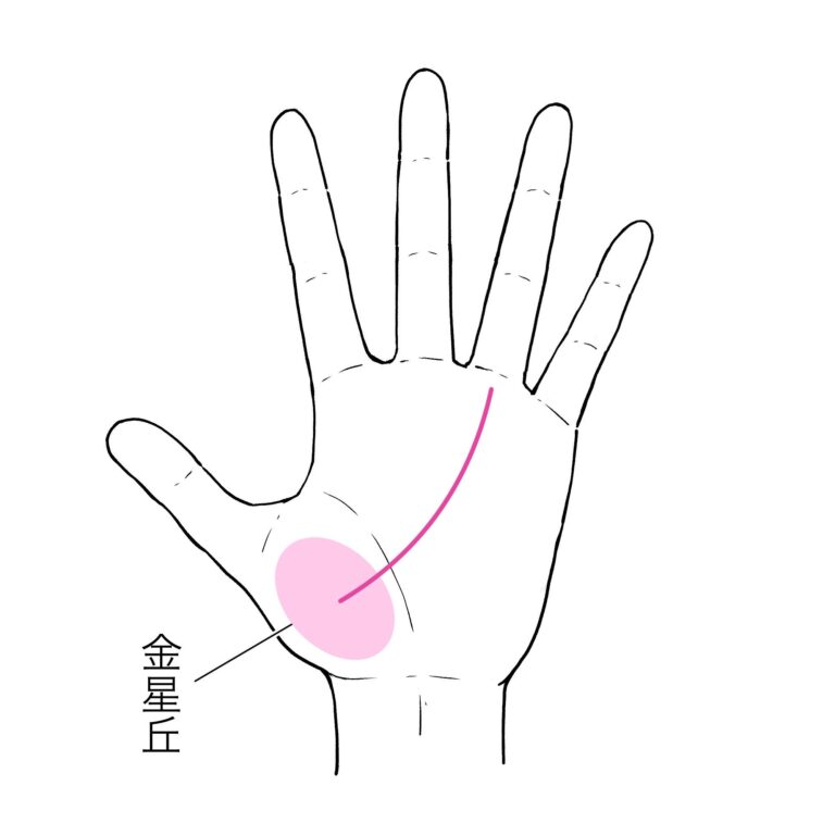 3秒でわかる手相術！センスを活かしてお金を稼げるかも!?手相でわかるあなたの幸せ