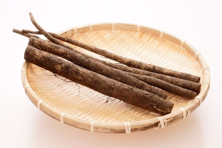 【管理栄養士監修】「ごぼう」の主な栄養素とカロリーまとめ！おすすめな調理方法は？