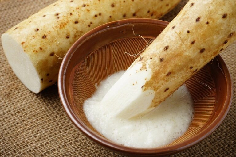 【管理栄養士監修】「山芋」の主な栄養素とカロリーまとめ！おすすめな調理方法は？
