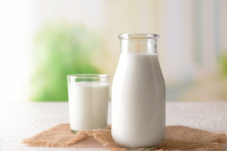 【管理栄養士監修】「牛乳」の主な栄養素とカロリーまとめ！おすすめの調理方法は？