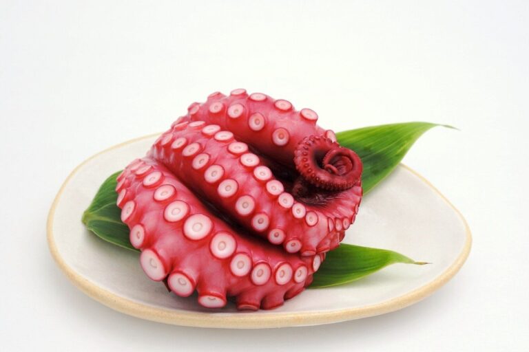 【管理栄養士監修】「たこ」の主な栄養素とカロリーまとめ！おすすめな調理方法は？