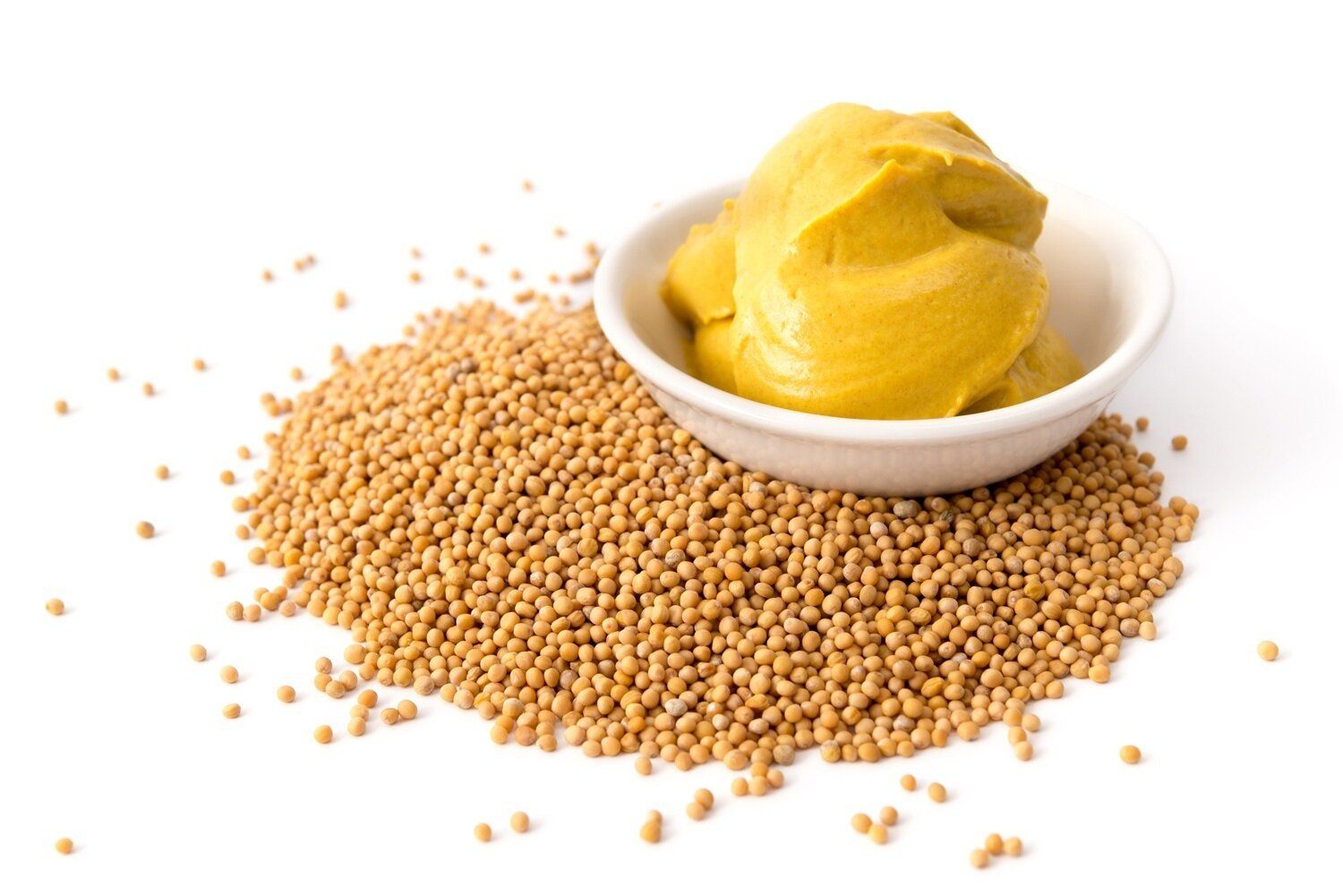 【管理栄養士監修】賞味期限切れの「マスタード」は冷蔵保存でいつまで食べられる？傷んだときの特徴や保存方法を解説！