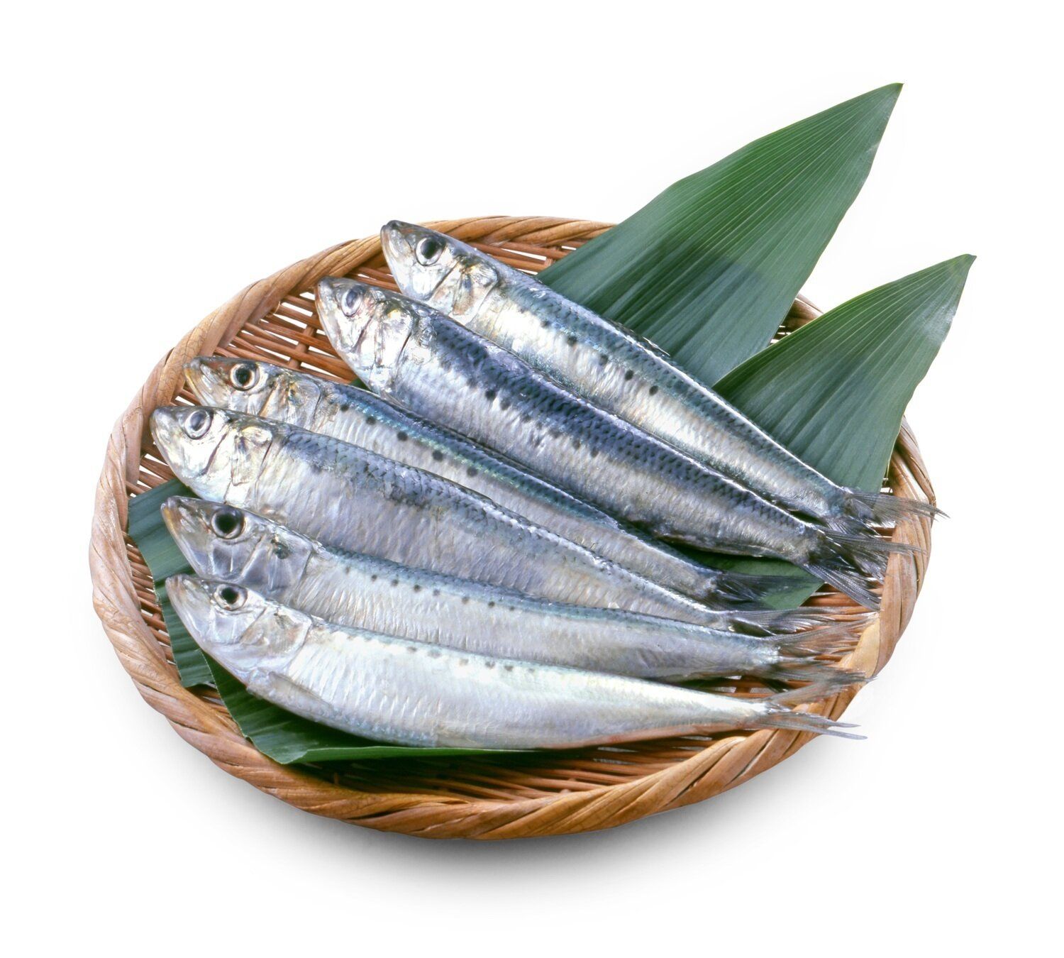 【管理栄養士監修】「鰯（イワシ）」の主な栄養素とカロリーまとめ！おすすめの調理方法は？