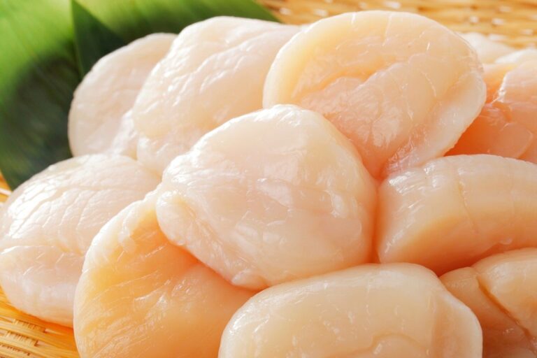 【管理栄養士監修】「ホタテ」の主な栄養素とカロリーまとめ！おすすめの調理方法は？