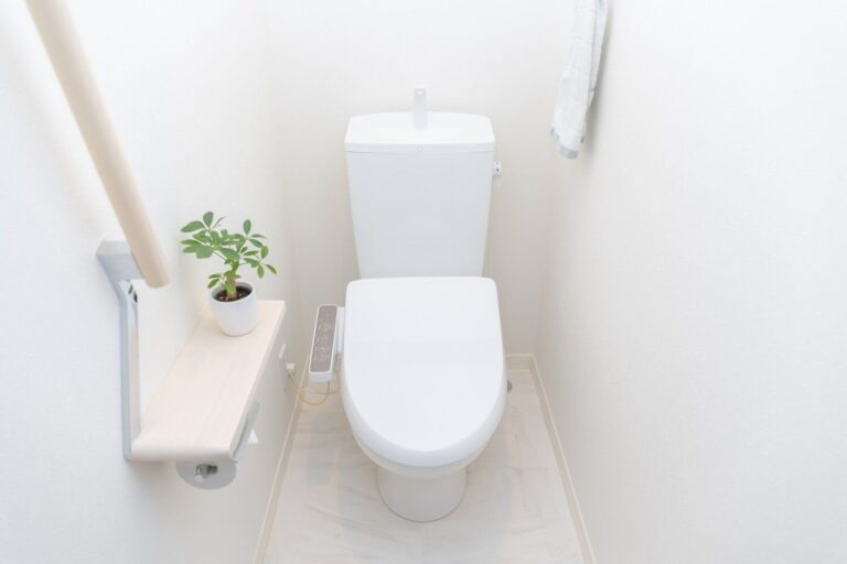 トイレのニオイで運気が下がる!?〇〇の香りで金運アップ！【Dr.コパの風水解説】