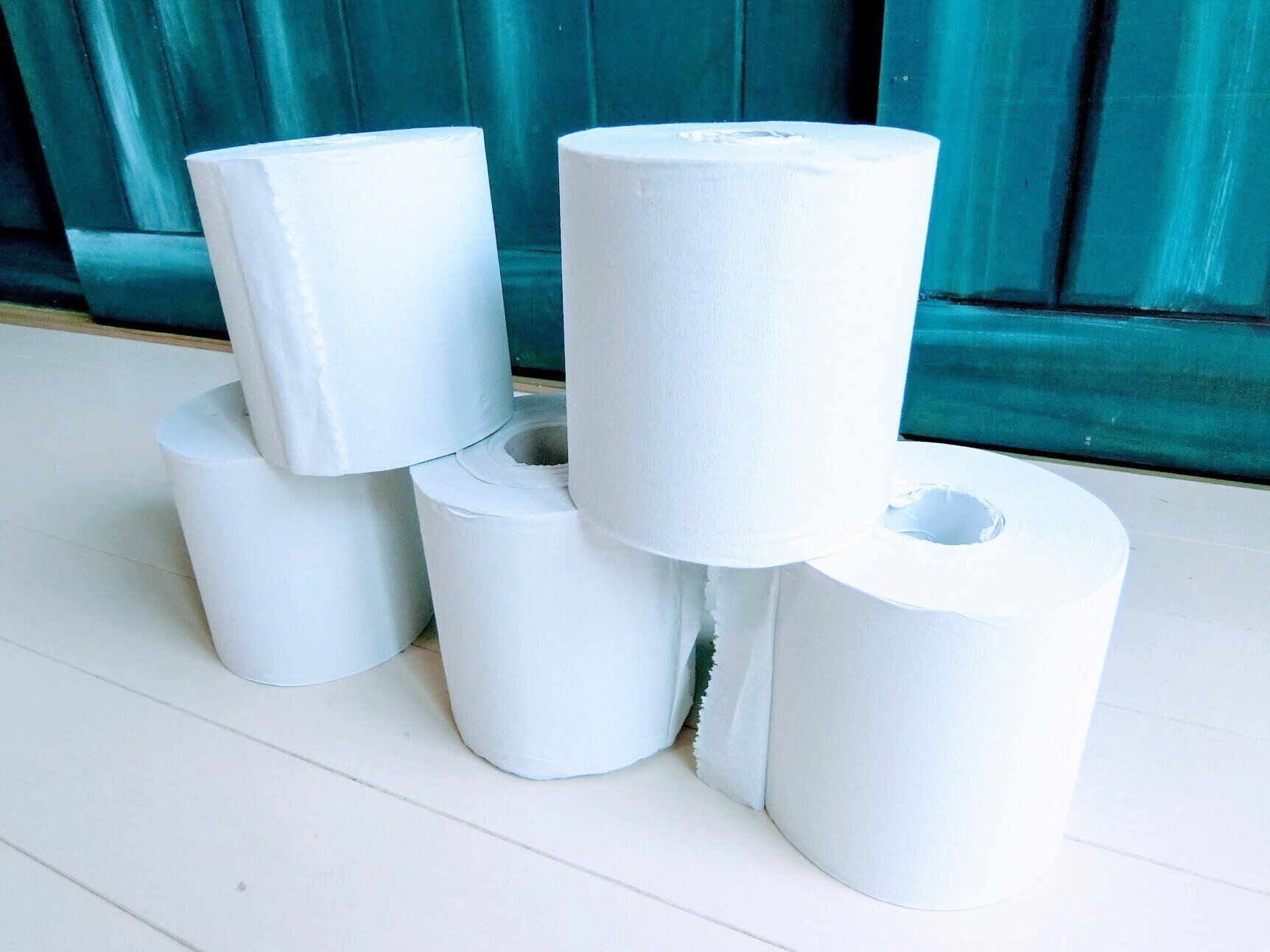 エコなだけじゃない！究極のトイレットペーパー：ゼロ・ウェイスト実践レポート①