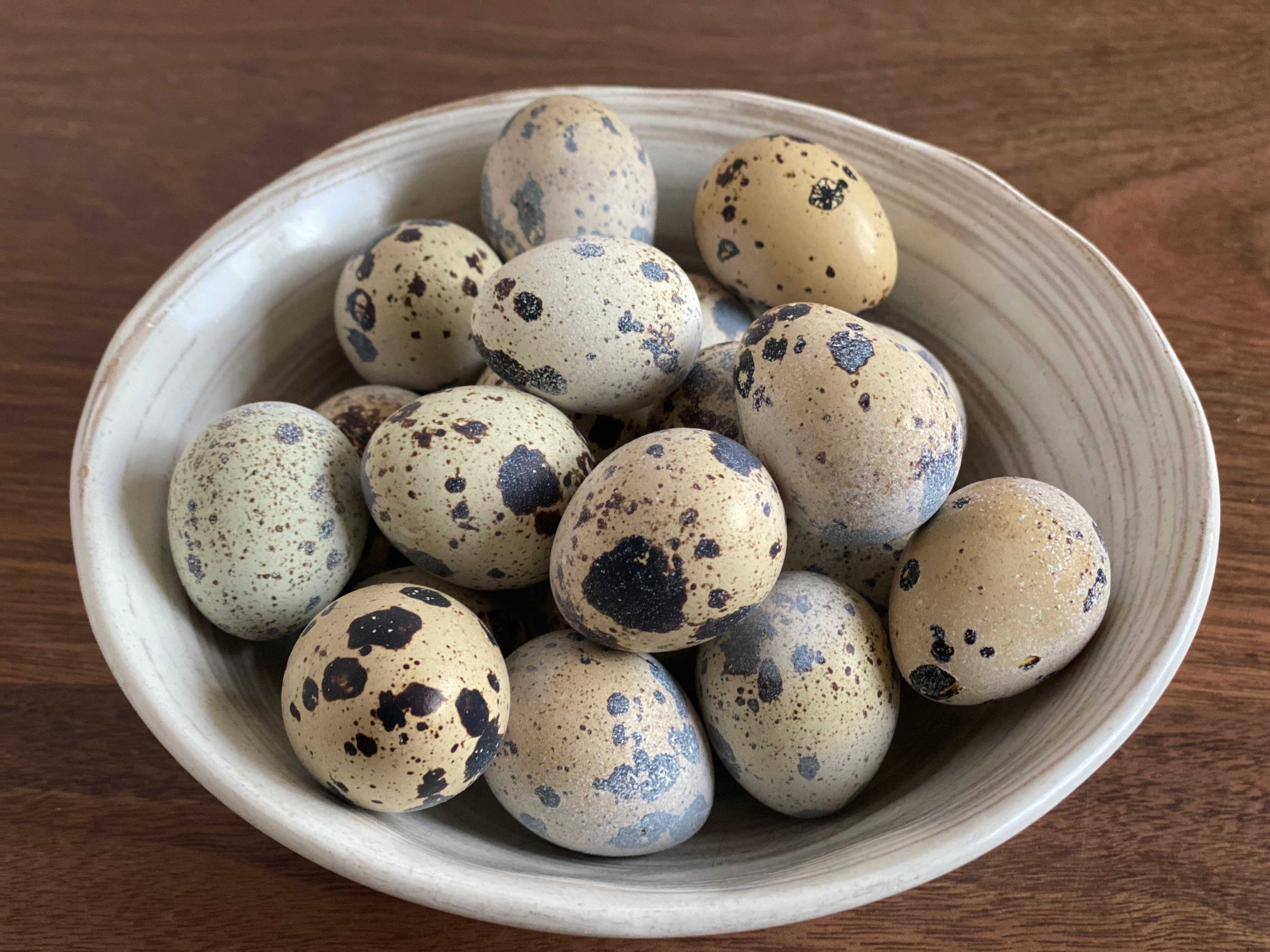 うずらの卵のゆで時間と殻の剥き方・割り方