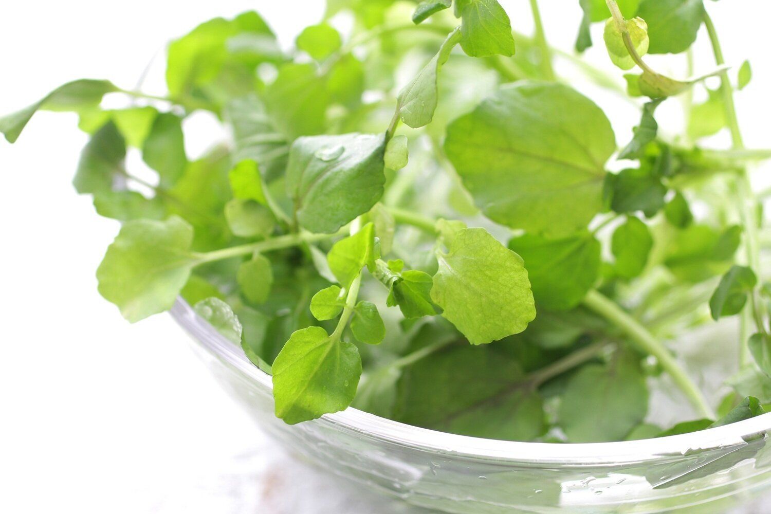 【管理栄養士監修】「クレソン」の主な栄養素とカロリーまとめ！おすすめな調理方法は？