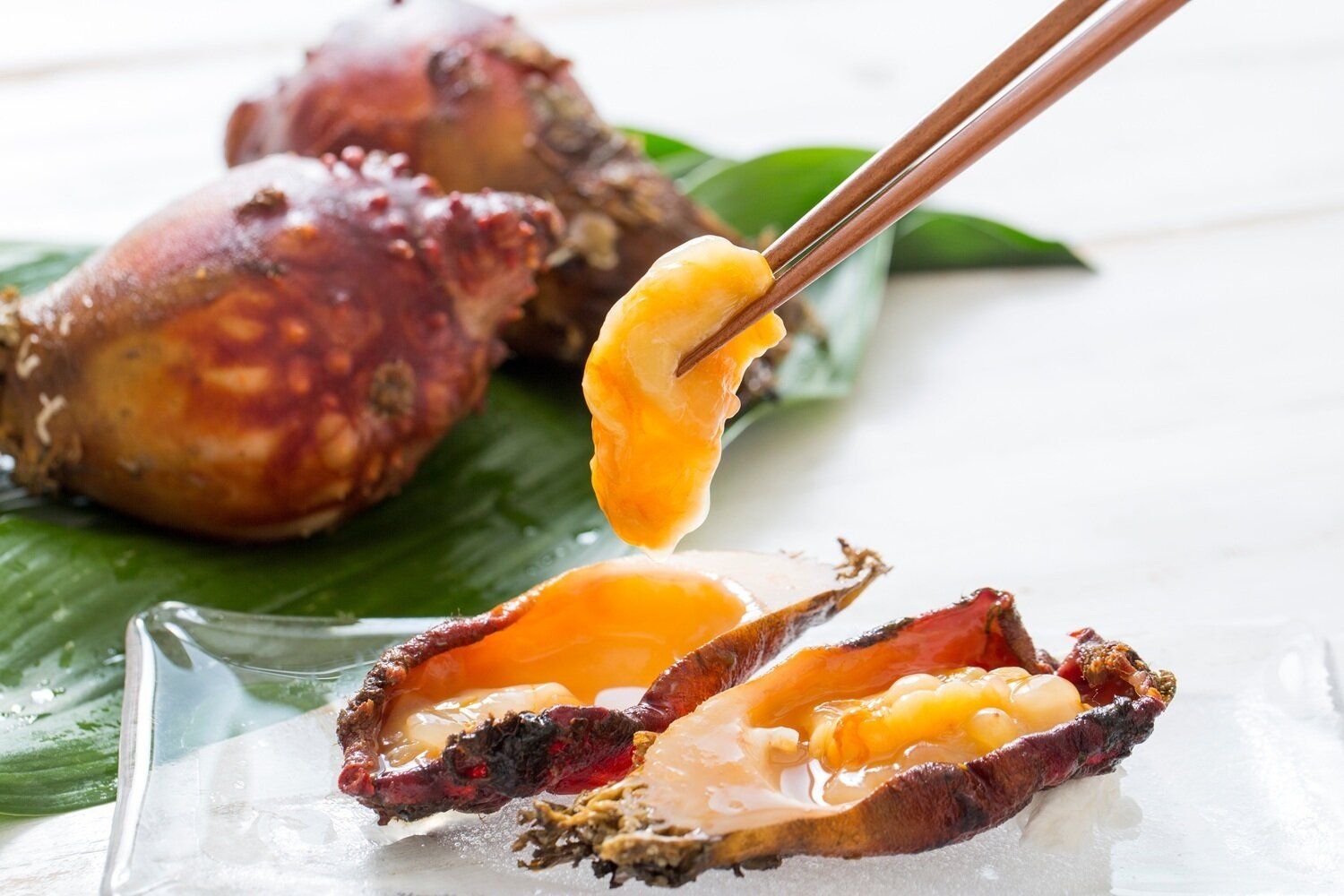 【管理栄養士監修】「ホヤ」の主な栄養素とカロリーまとめ！おすすめな調理方法は？