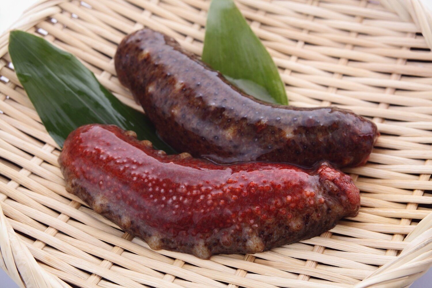 【管理栄養士監修】「海鼠（なまこ）」の主な栄養素とカロリーまとめ！おすすめな調理方法は？