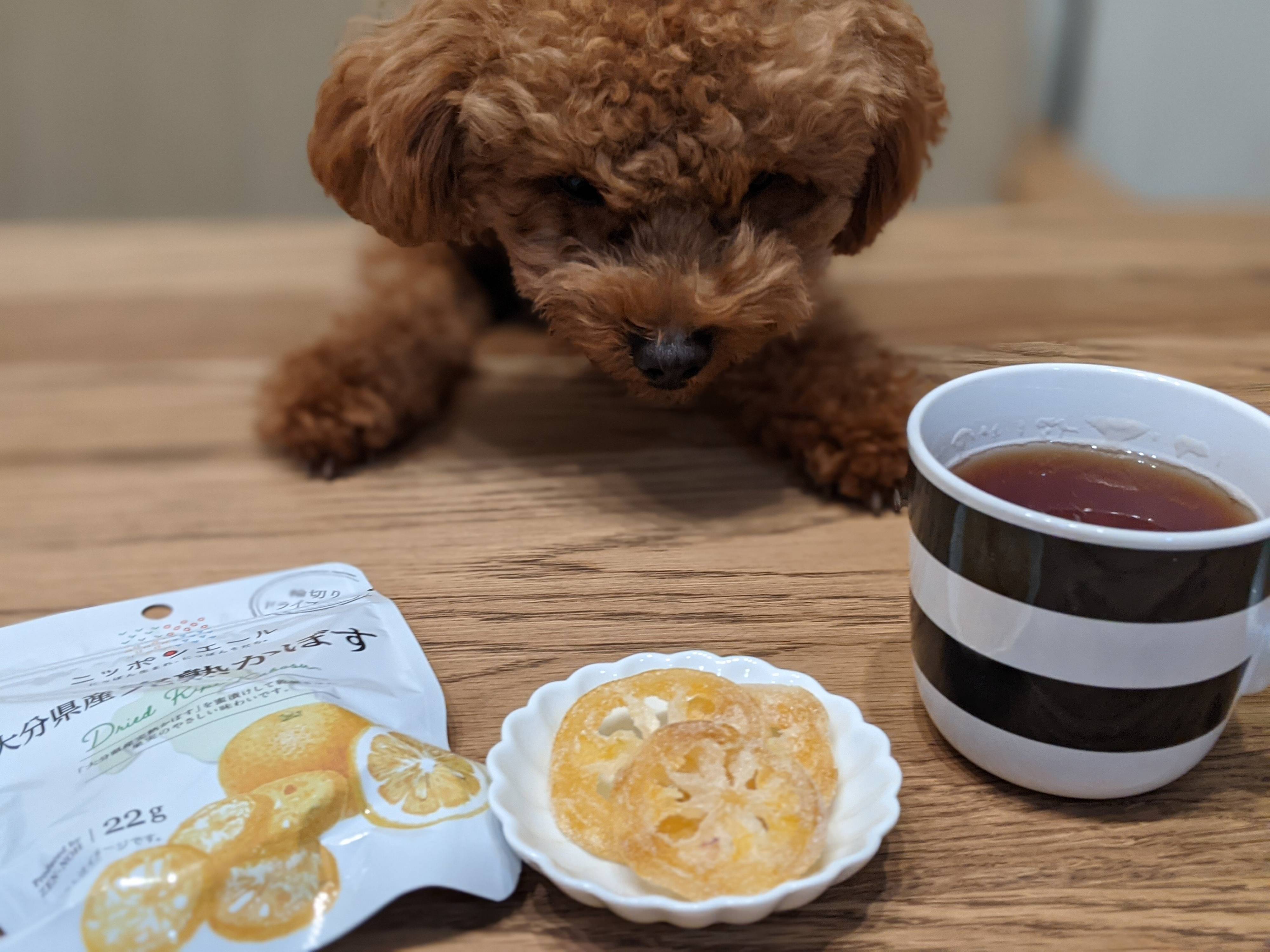 疲れた体にほっと一息