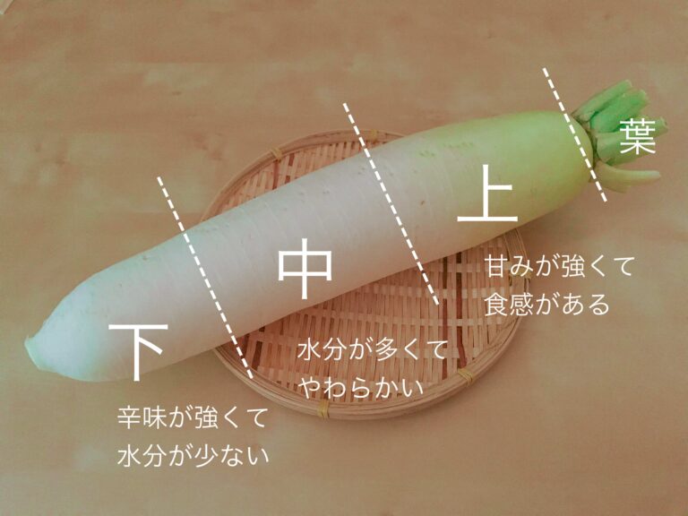 【大根まるごと1本消えていく】野菜のプロが教える！大根の部位別おすすめの食べ方