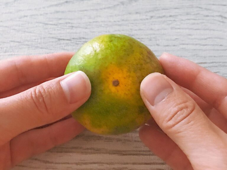 みかん農家にはみかんの皮を○○する!?目からウロコの食べやすすぎるみかんのむきかた