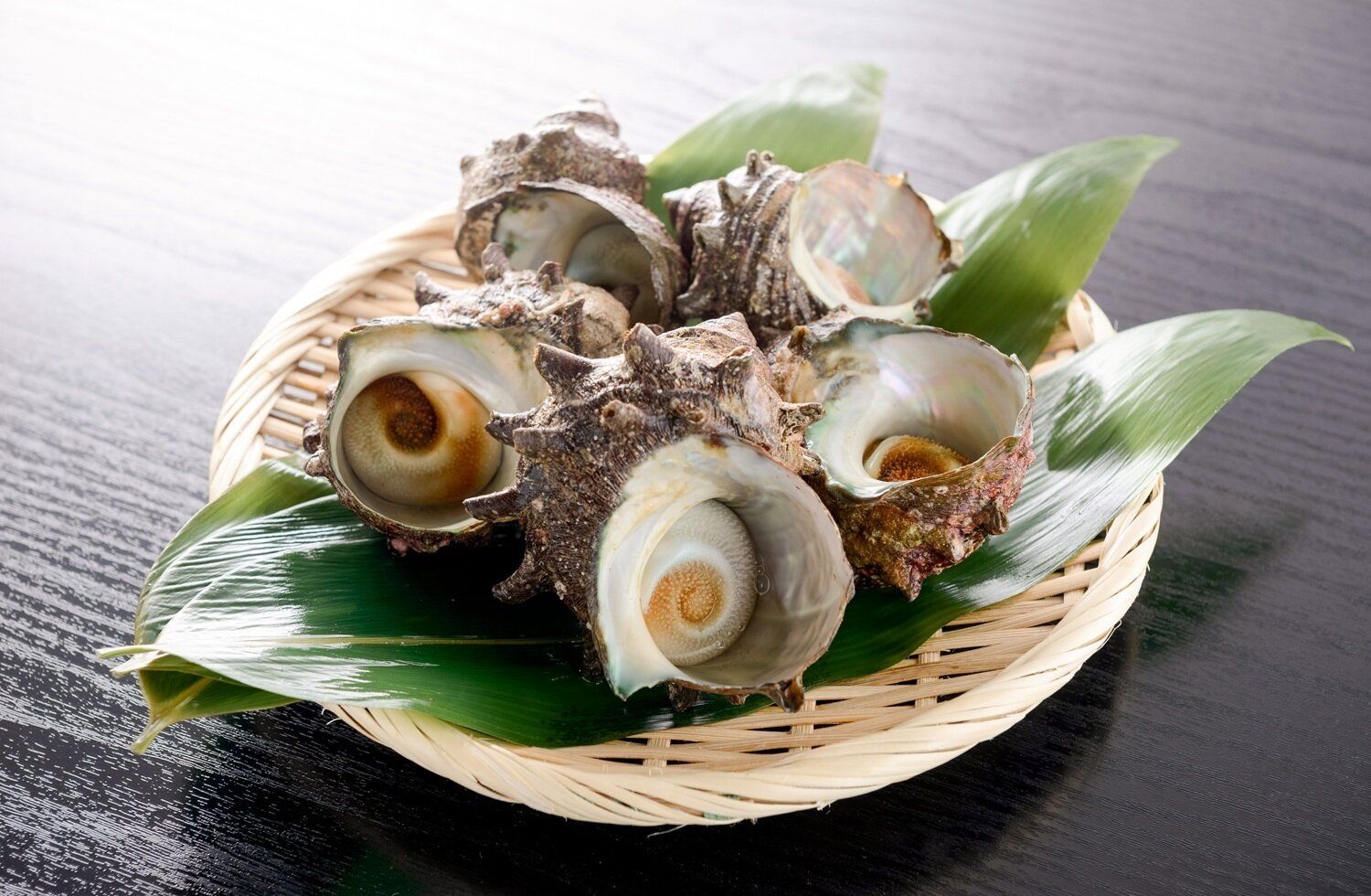 【管理栄養士監修】「サザエ」の主な栄養素とカロリーまとめ！おすすめな調理方法は？