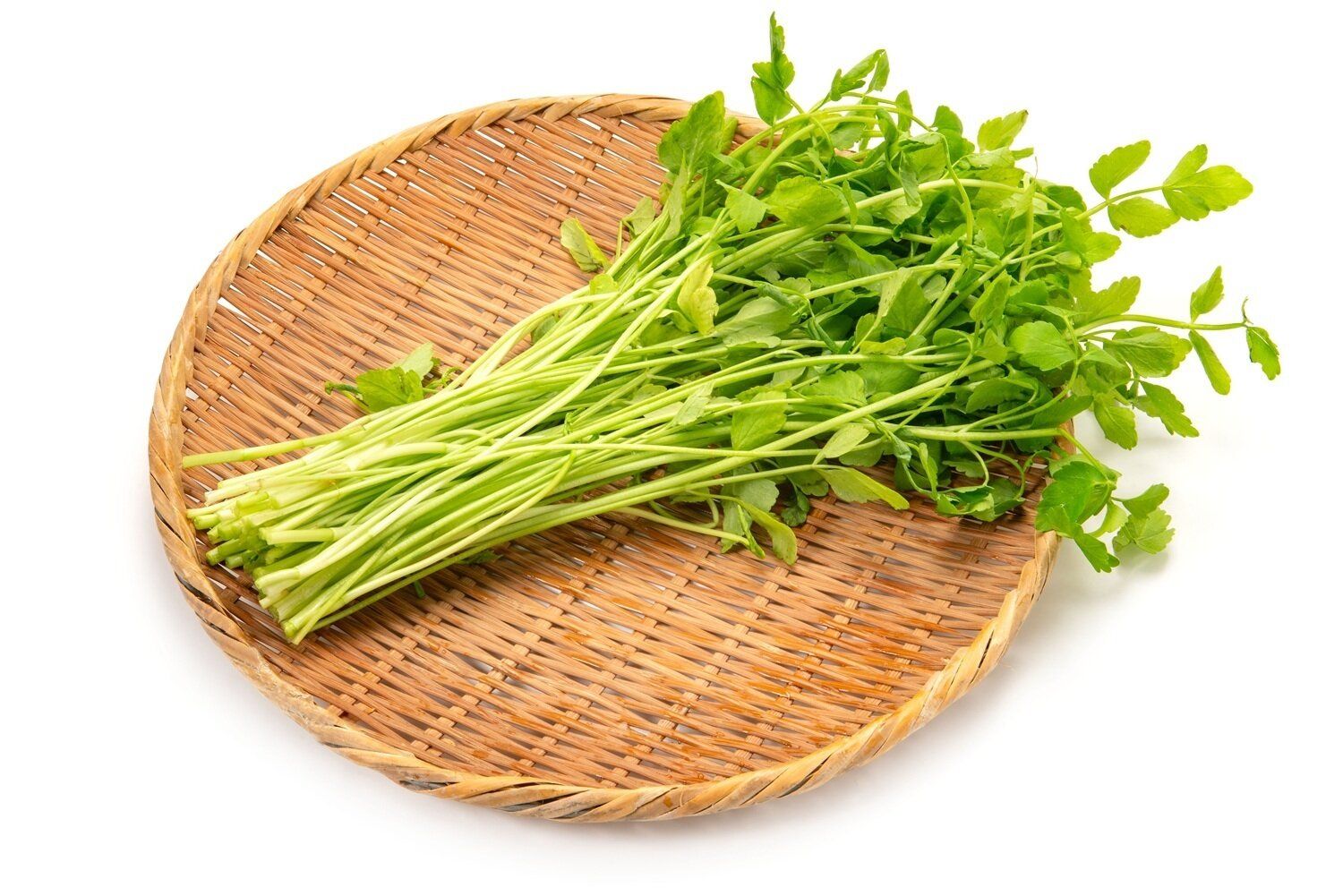 【管理栄養士監修】「芹（せり）」の主な栄養素とカロリーまとめ！おすすめな調理方法は？