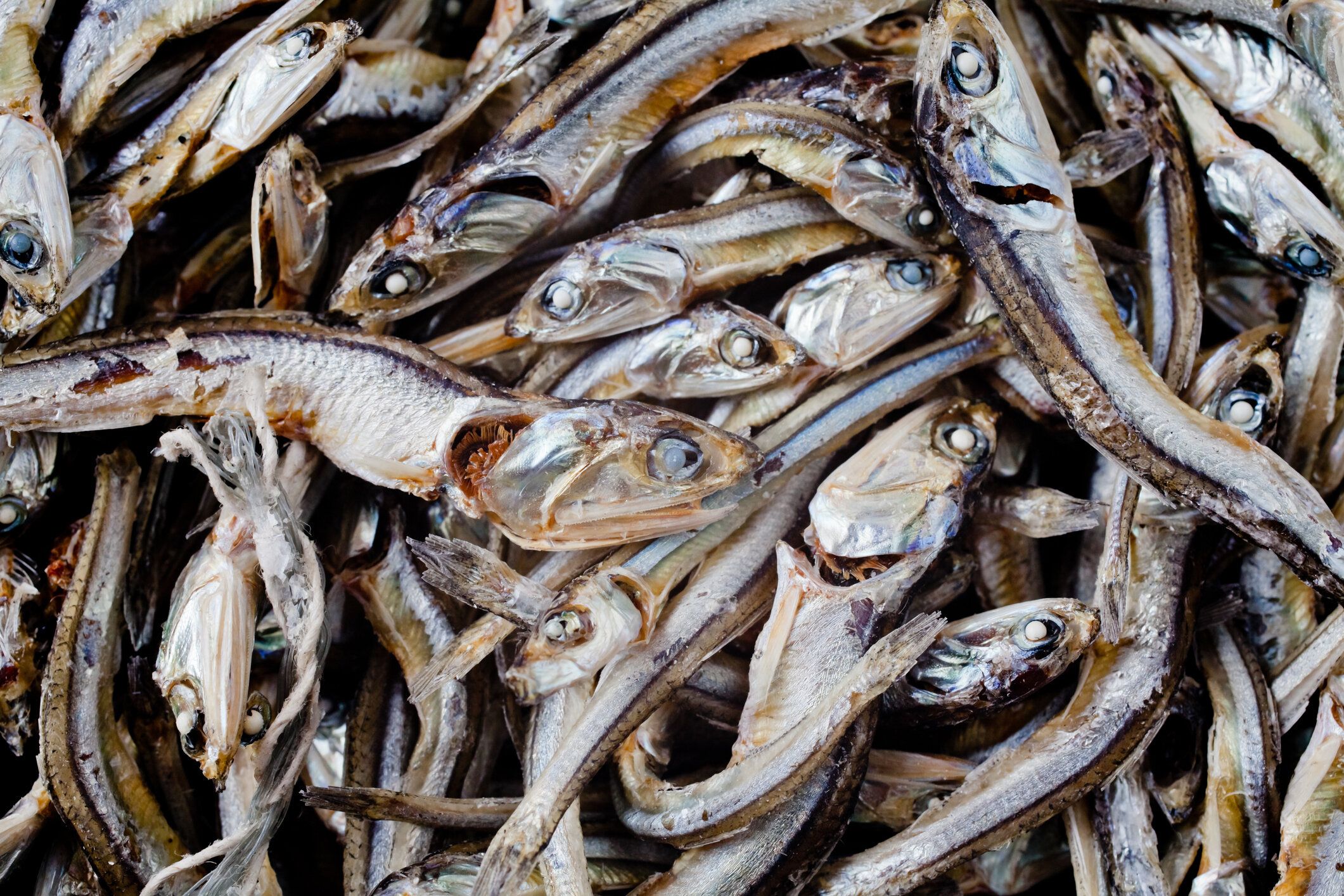 賞味期限切れの「いりこ（煮干し）」はいつまで大丈夫？傷んだときの特徴を解説！