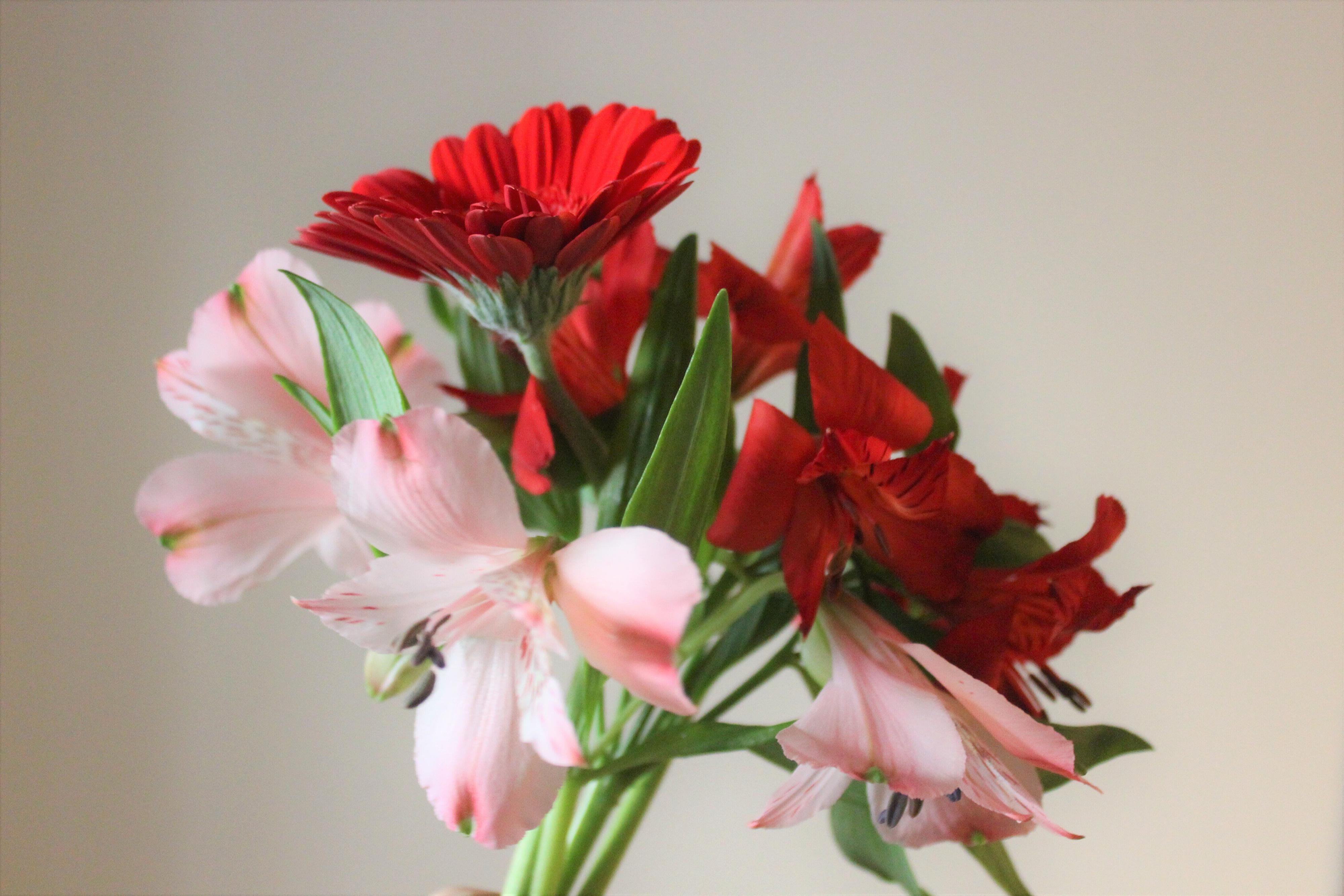 これは素敵！1000円で叶える丁寧な暮らし。