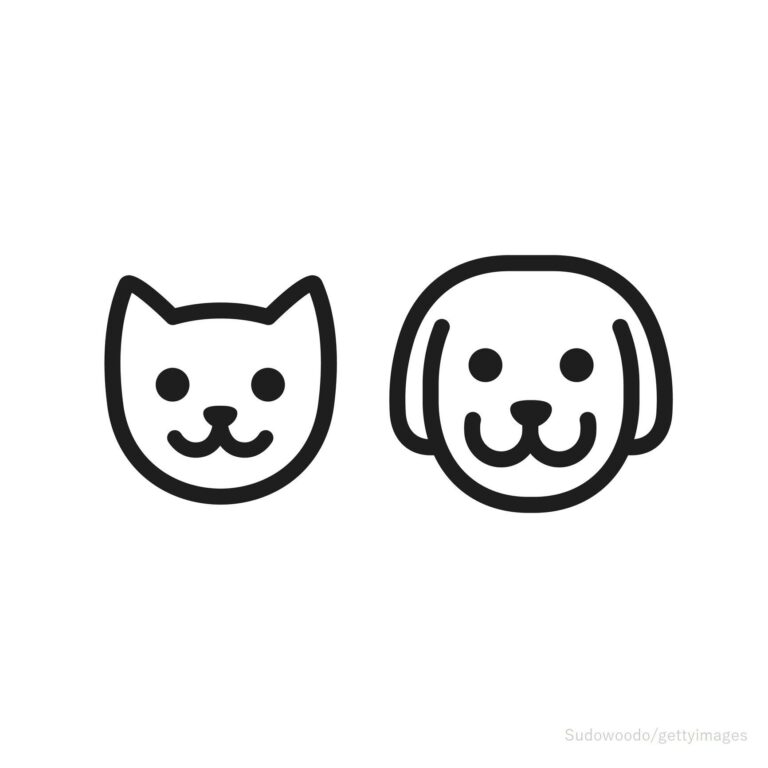 整理のプロはモノを捨てるときに「使えるかどうか」で判断しない！知っていると片付く「手放しにくいモノ」とは？