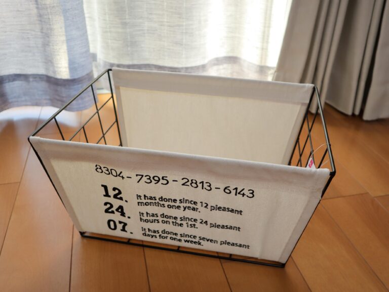 【ダイソー】100均の300円商品が高みえで凄い！ざっくり収納に役立つバスケット