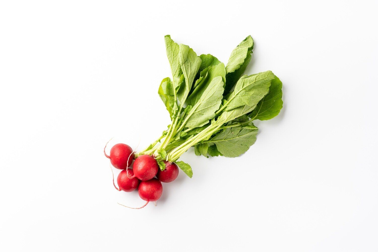 【管理栄養士監修】「ラディッシュ」の主な栄養素とカロリーまとめ！おすすめの調理方法は？