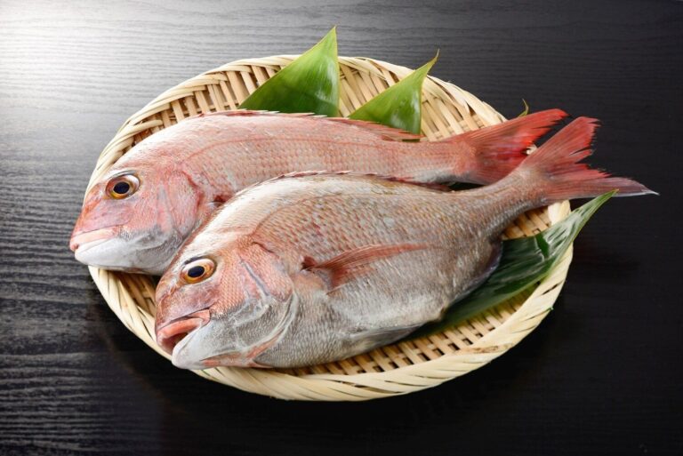 【管理栄養士監修】「鯛（タイ）」の主な栄養素とカロリーまとめ！おすすめな調理方法は？