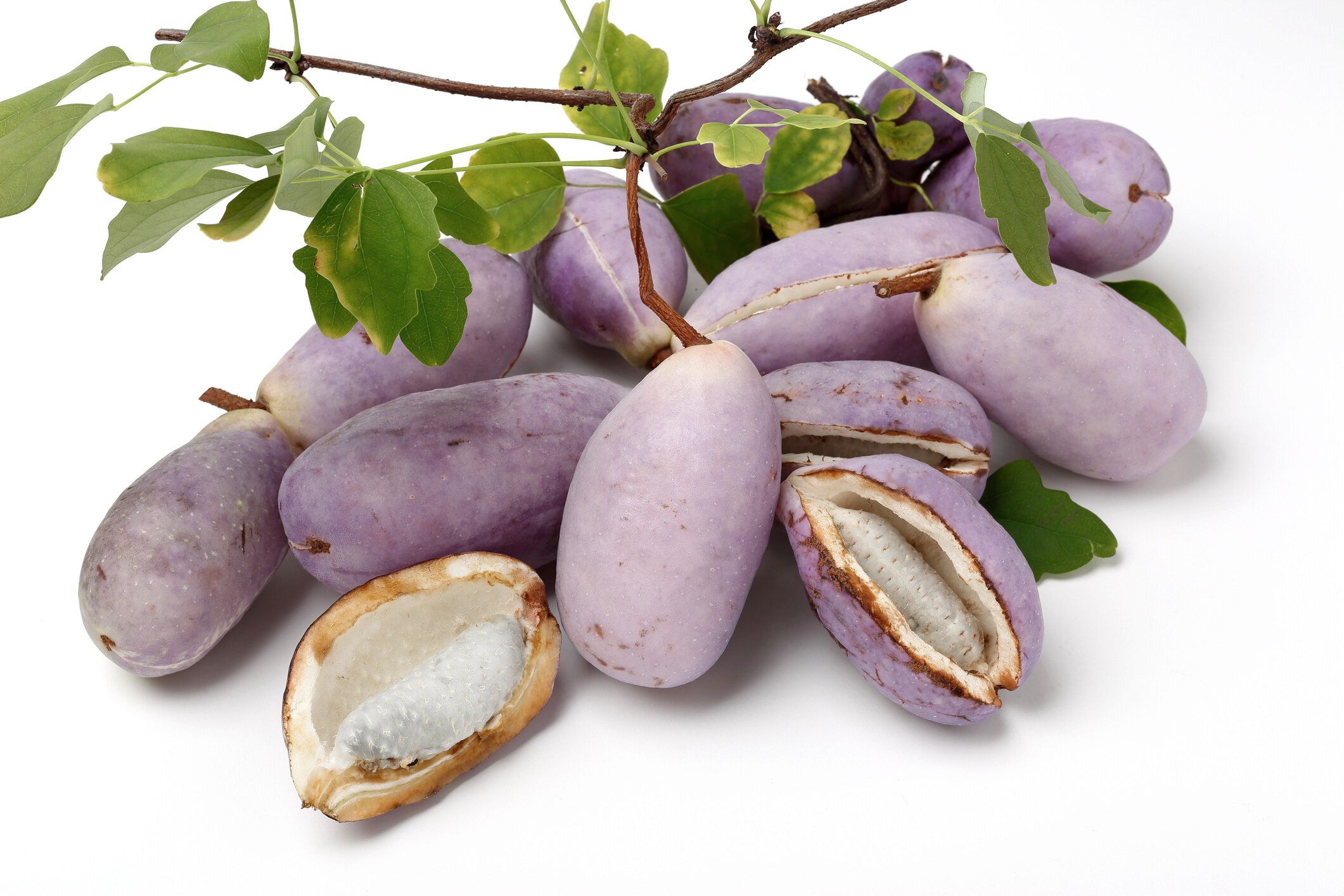 【管理栄養士監修】「あけび」の主な栄養素とカロリーまとめ！おすすめな調理方法は？