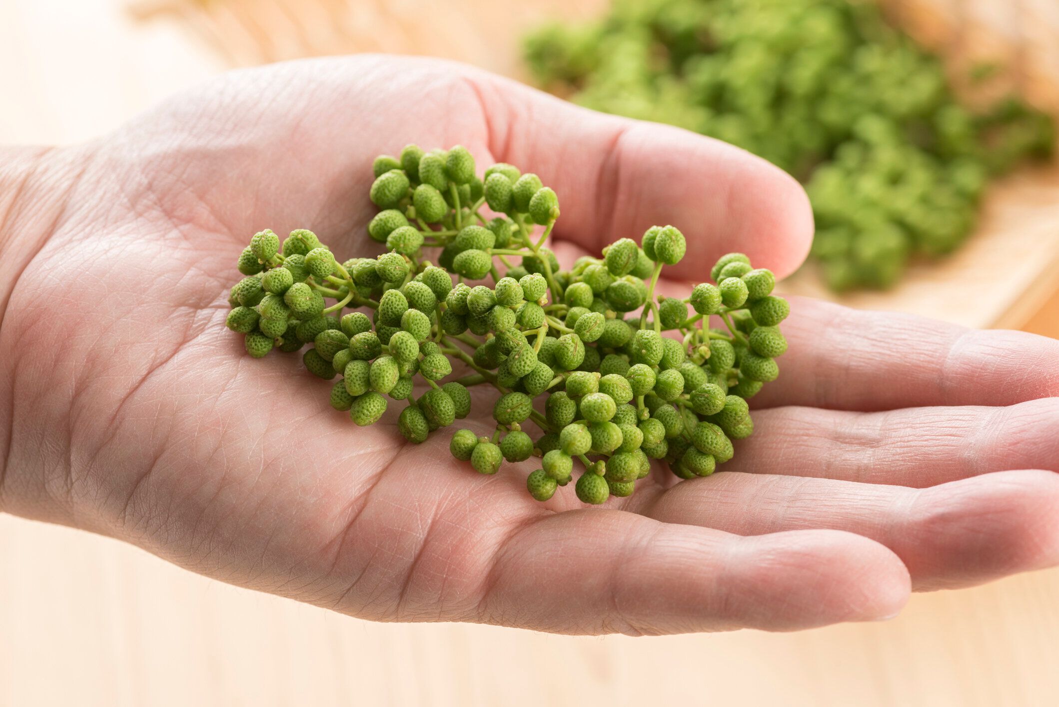 【管理栄養士監修】「山椒」の主な栄養素とカロリーまとめ！おすすめの調理方法は？