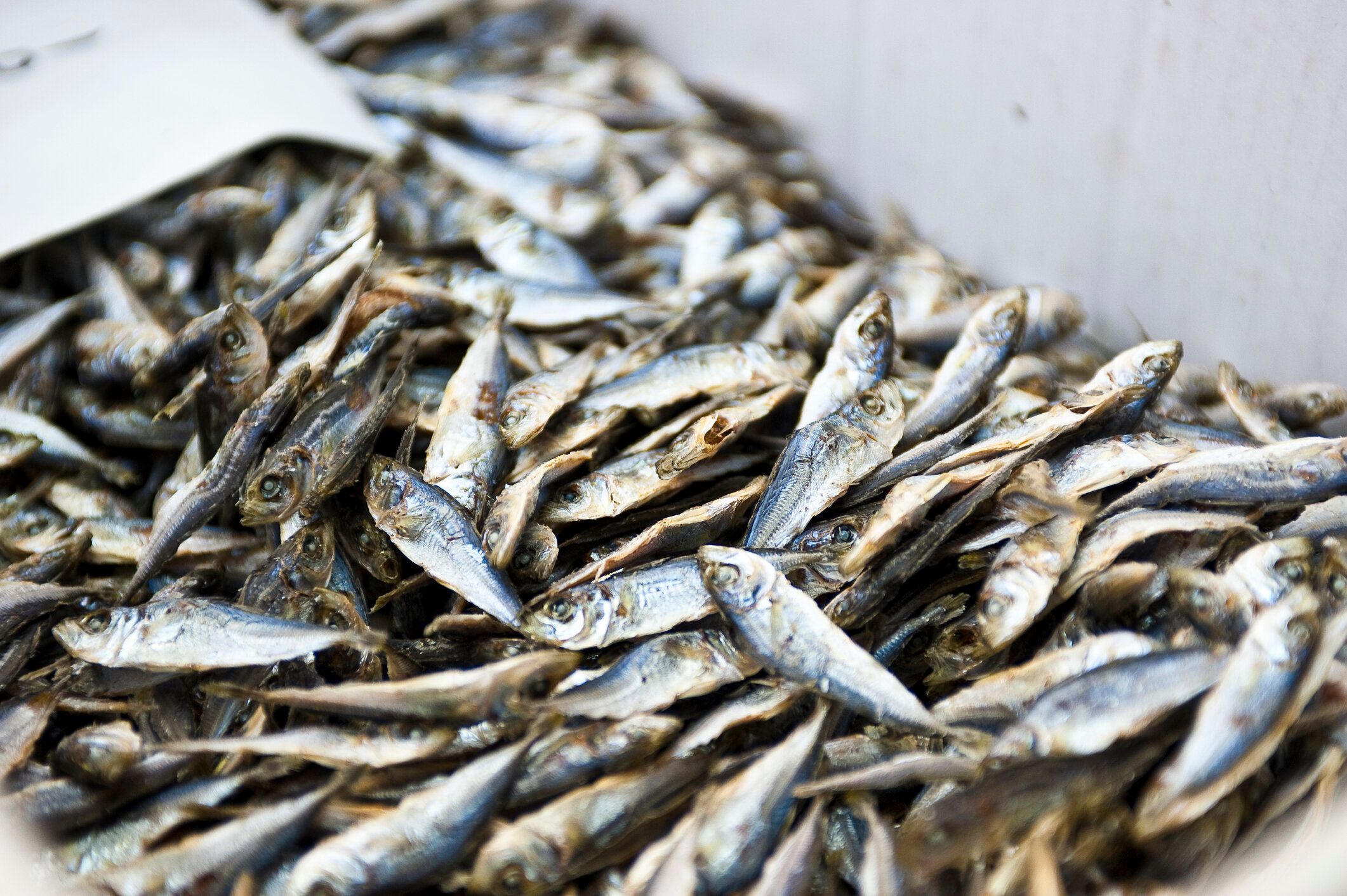 【管理栄養士監修】「にぼし」の主な栄養素とカロリーまとめ！ダイエットに効果がある？