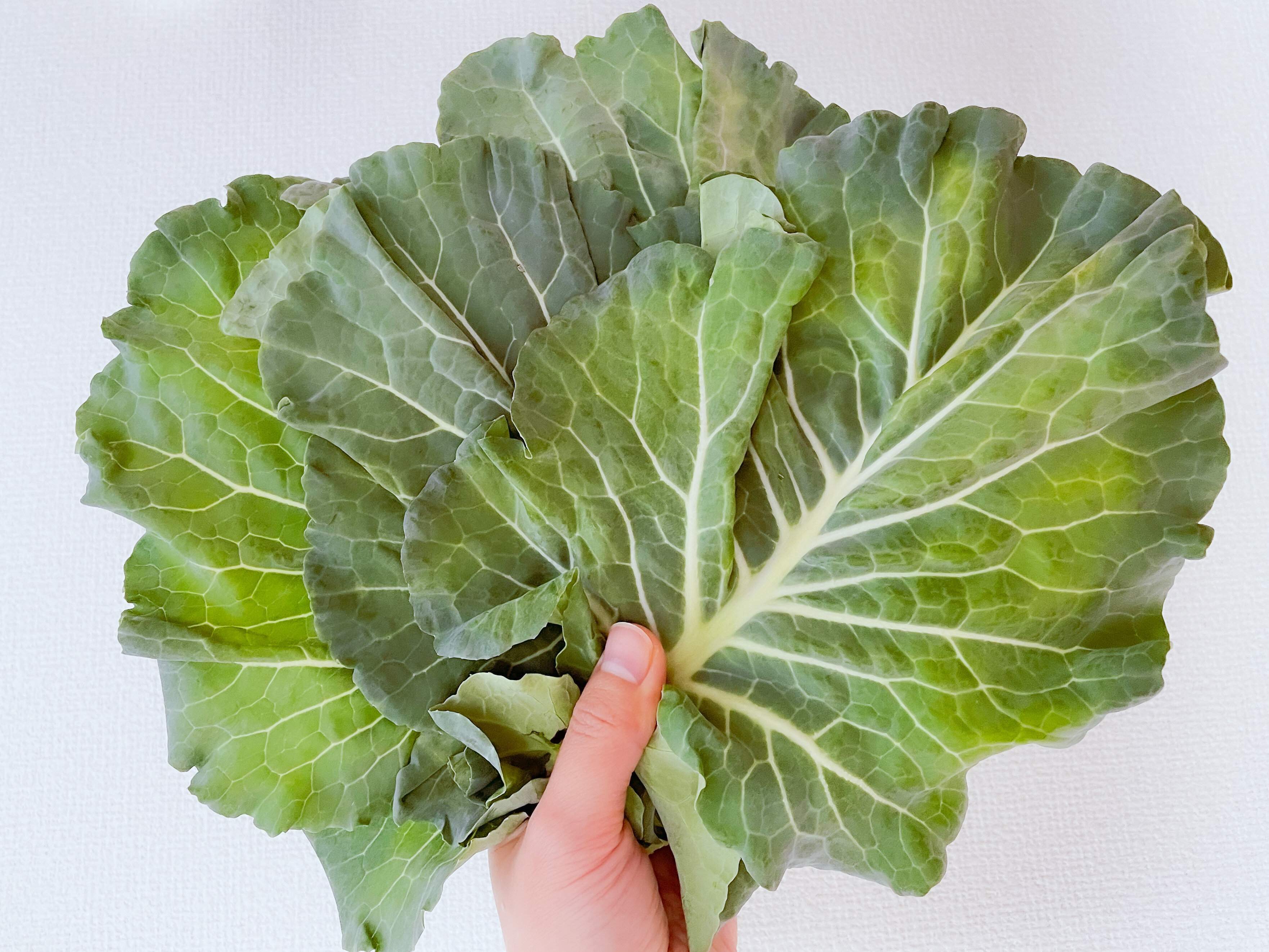 今さら聞けない「ケール」ってどんな野菜!?どうやって食べる!?