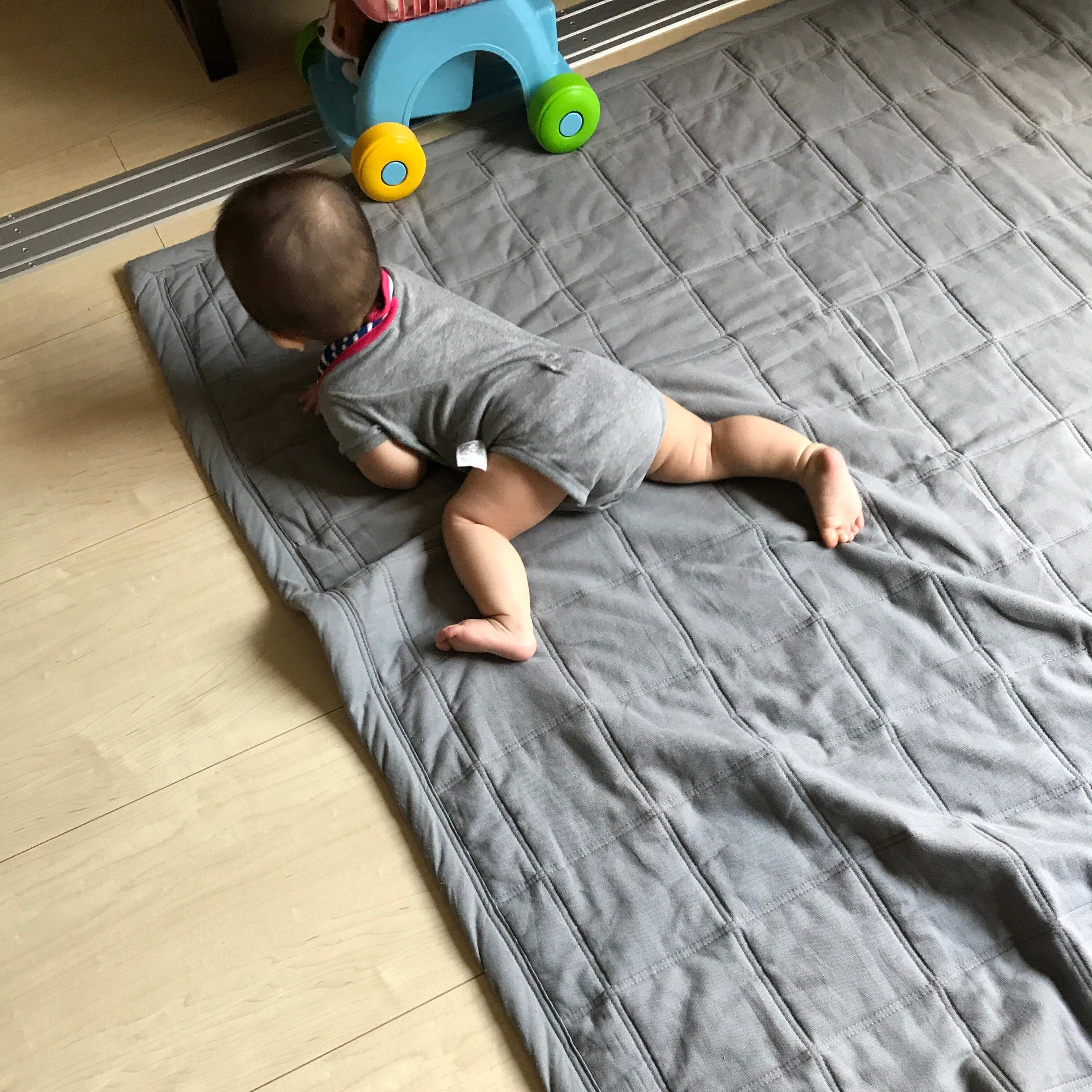 【57平米アパート暮らし】ラグなし派でも買った！ミニマリスト主婦が選んだラグとは?