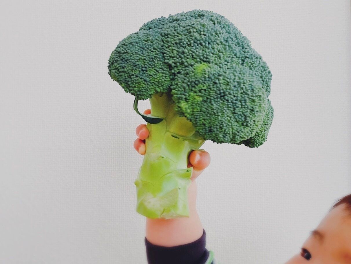 【野菜ソムリエが解説】ブロッコリーの〇〇まさか捨ててない!?