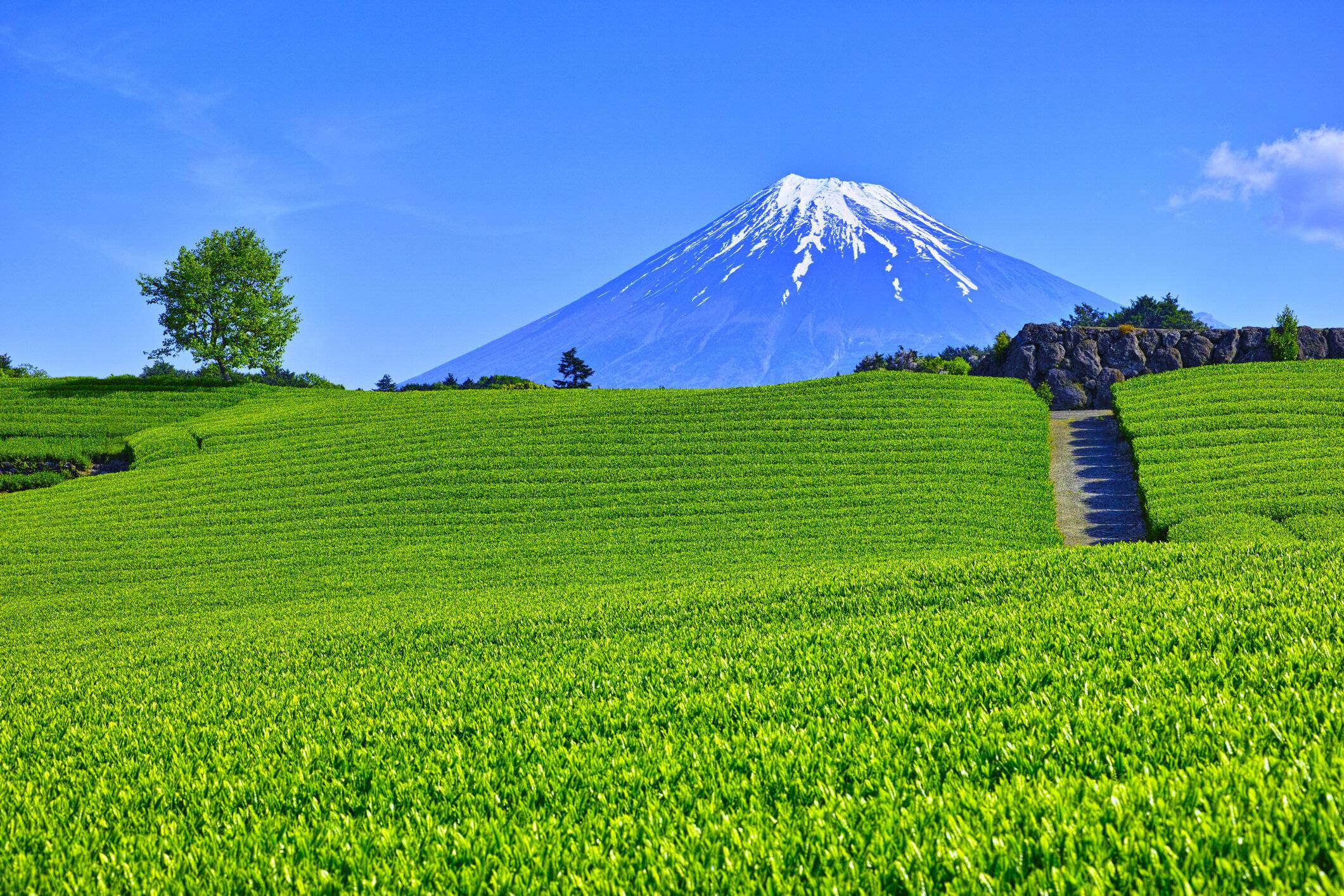 金運をよみがえらせるのにピッタリなタイミング！5月の金運UP風水【Dr.コパの風水解説】