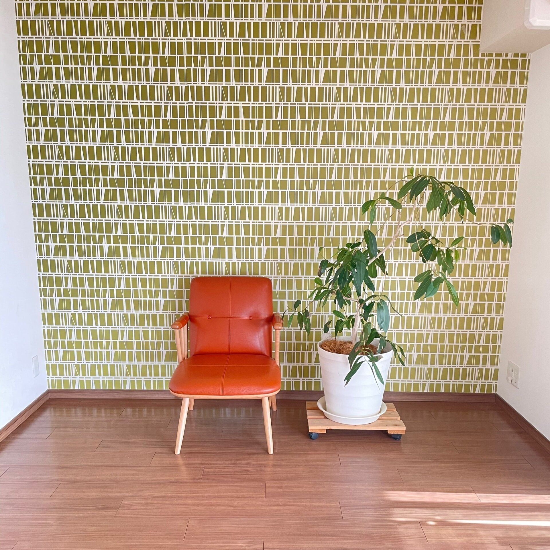 おうちでストレス解消！シンプリストイチオシの癒しアイテム5選