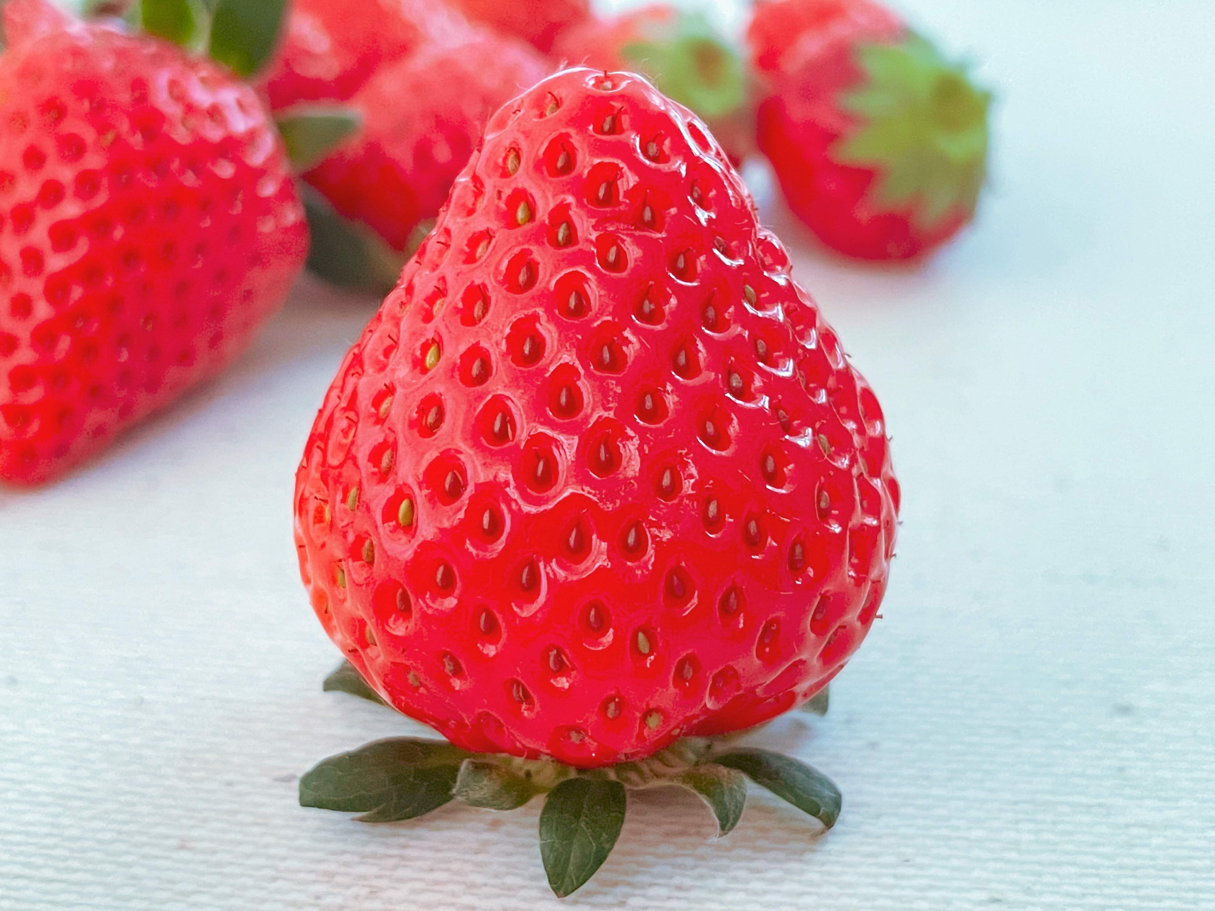 【野菜ソムリエが解説】驚き！いちごの赤い部分は果実ではないって知っていましたか？