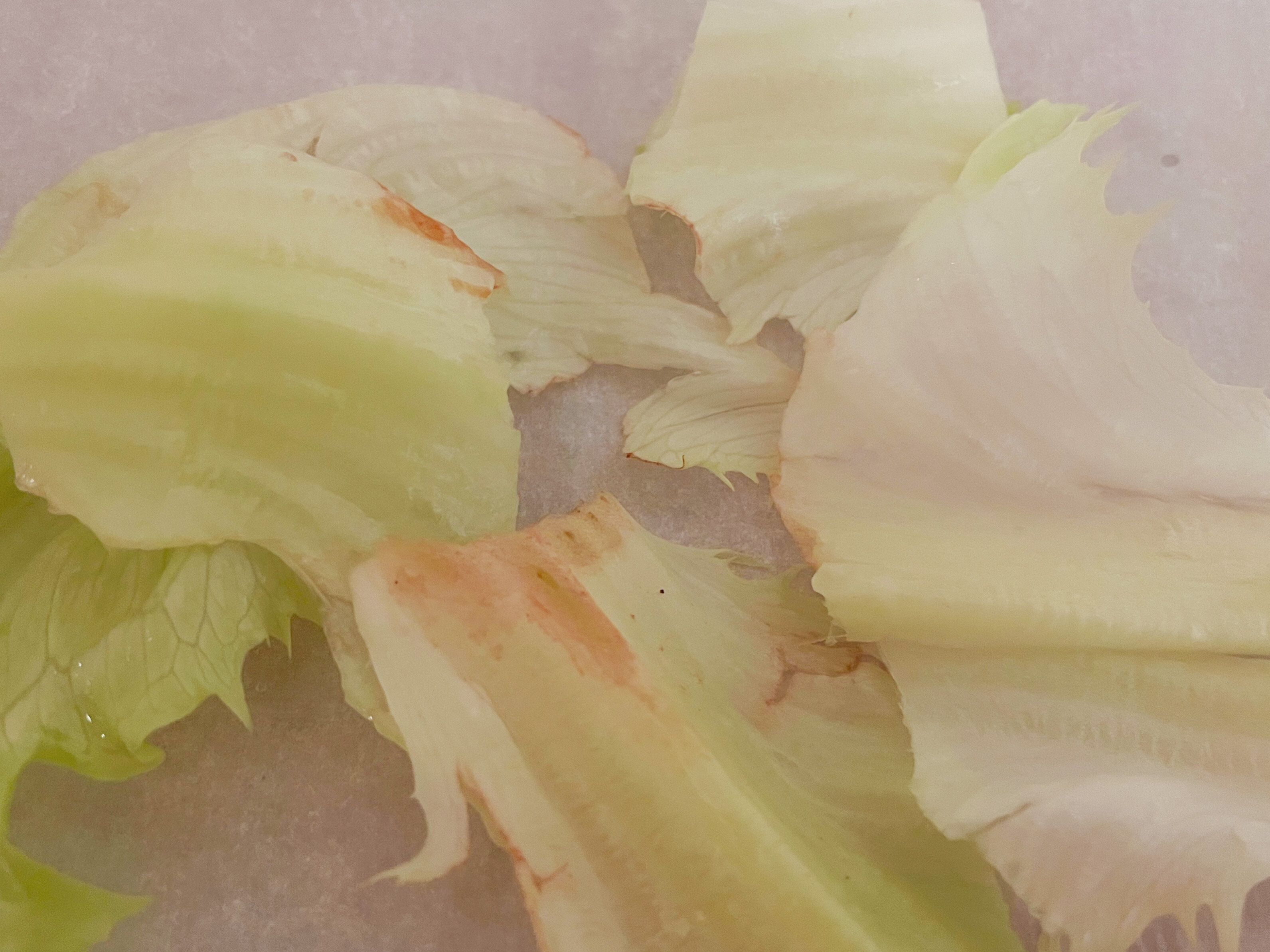 【野菜ソムリエが解説】レタスの切り口はなぜ赤くなる？防ぐポイントは〇〇を使わないこと！