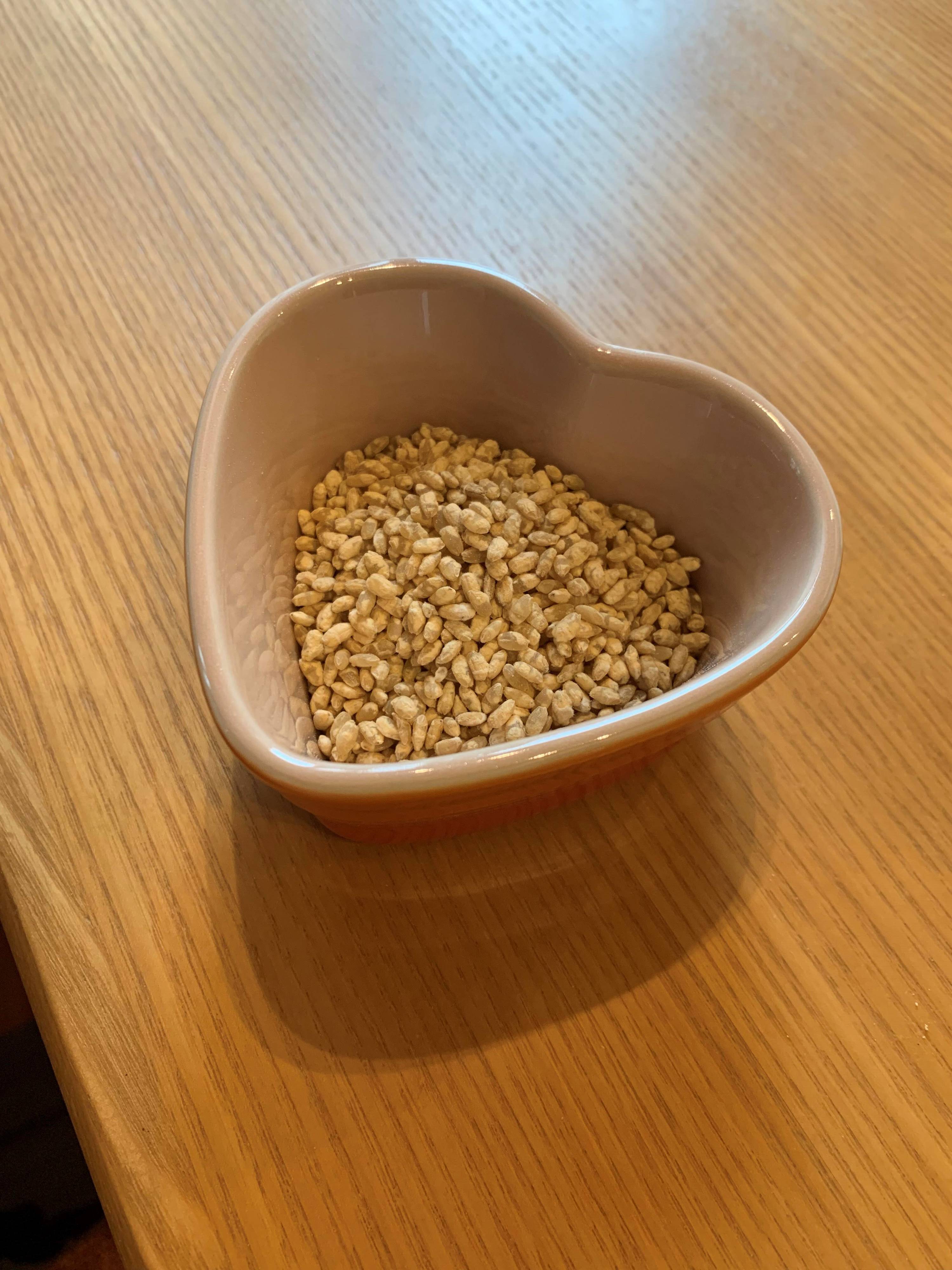 10kg痩せた主婦がハマった魅惑の調味料……行きつく先は「こうじ沼」だった