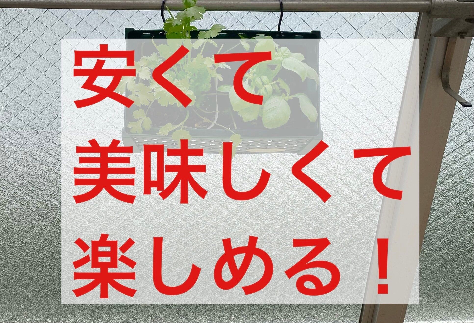 ズボラでもできた！良いことづくめのハーブ栽培