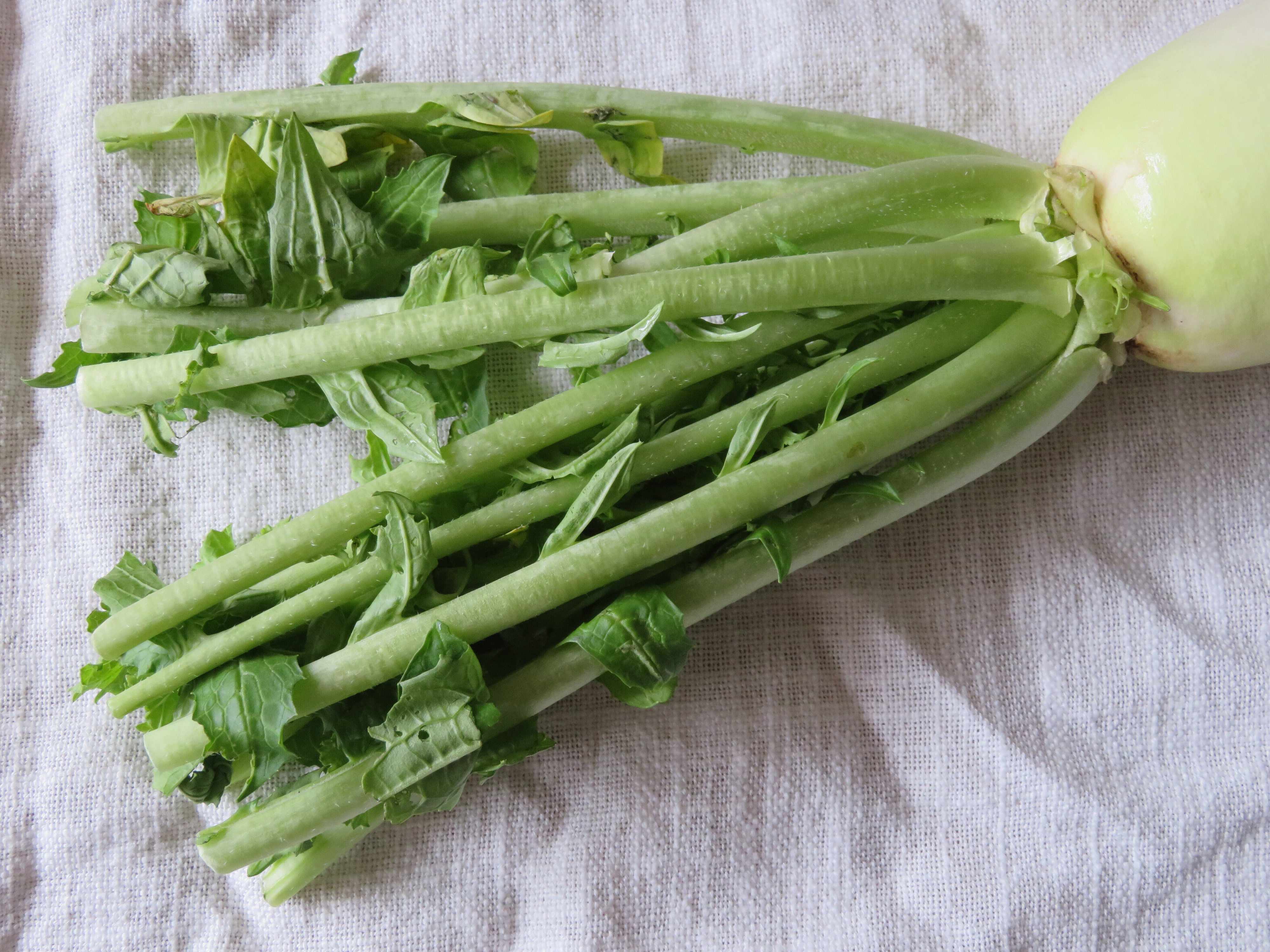 大根の葉っぱっておいしい！どこで買う？どう食べる？