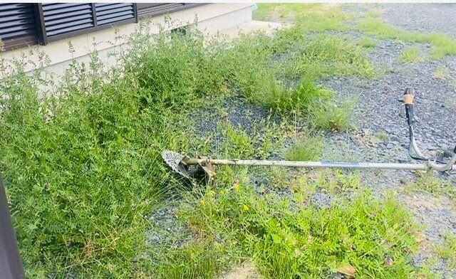 【梅雨】夏が来る前に”今”しておくべき家事5選！